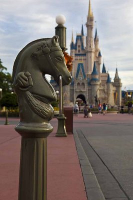 2011_fla_d8_011.jpg