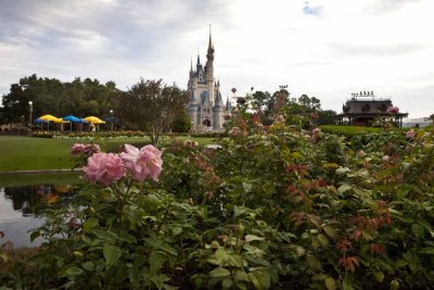 2011_fla_d8_013.jpg