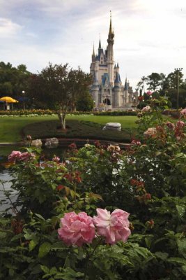 2011_fla_d8_014.jpg