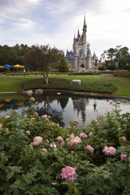 2011_fla_d8_015.jpg