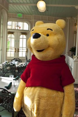 2011_fla_d8_018.jpg