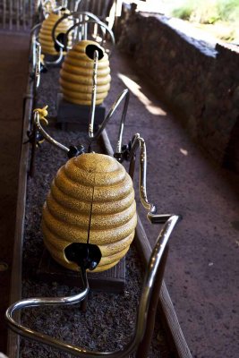 2011_fla_d8_036.jpg