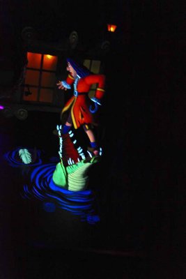 2011_fla_d8_137.jpg
