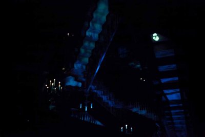 2011_fla_d8_151.jpg