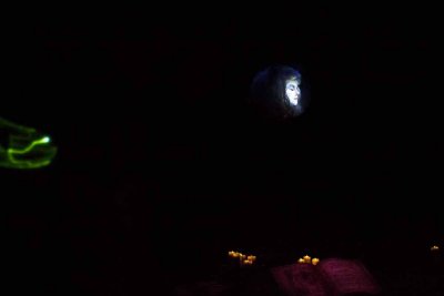 2011_fla_d8_154.jpg