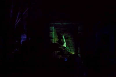 2011_fla_d8_163.jpg