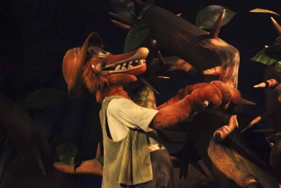2011_fla_d8_208.jpg
