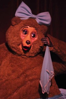 2011_fla_d8_229.jpg
