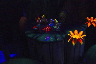 2011_fla_d8_242.jpg