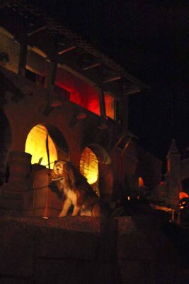 2011_fla_d8_300.jpg