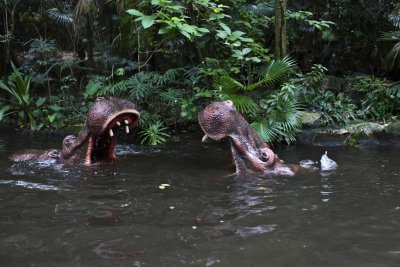 2011_fla_d8_328.jpg