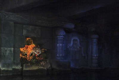 2011_fla_d8_331.jpg