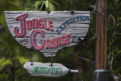 2011_fla_d8_337.jpg