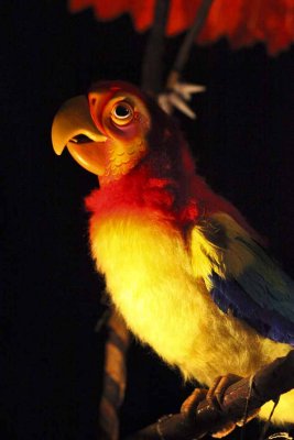 2011_fla_d8_342.jpg