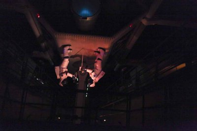 2011_fla_d8_373.jpg