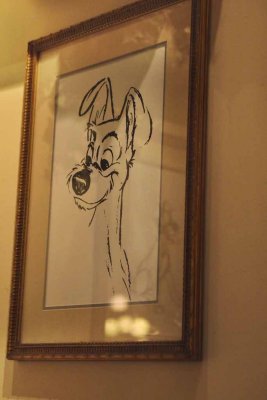 2011_fla_d8_416.jpg