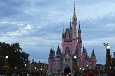 2011_fla_d8_425.jpg