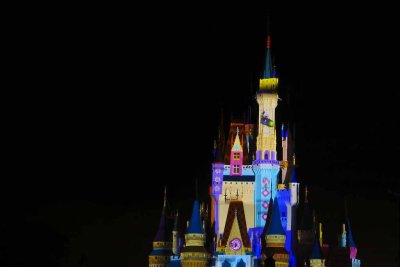 2011_fla_d8_443.jpg
