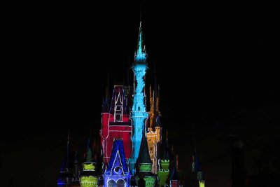 2011_fla_d8_445.jpg