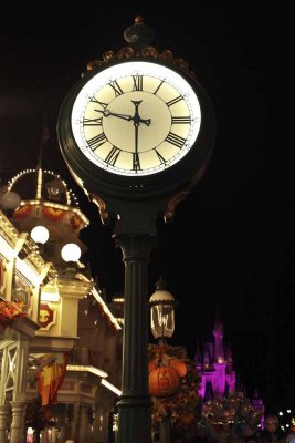 2011_fla_d8_470.jpg