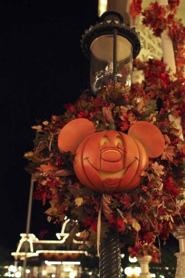 2011_fla_d8_476.jpg
