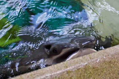 2011_fla_d2_012.jpg