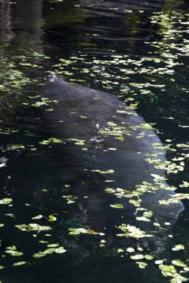 2011_fla_d2_026.jpg