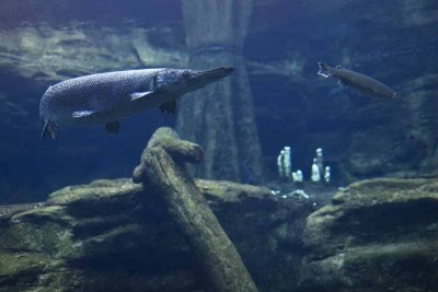 2011_fla_d2_031.jpg