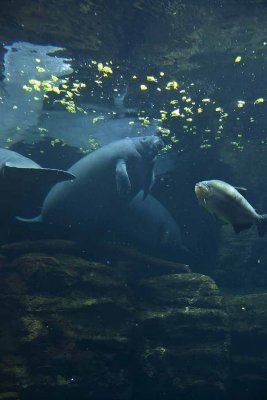 2011_fla_d2_033.jpg