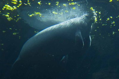 2011_fla_d2_034.jpg