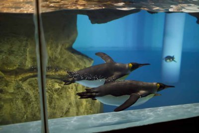 2011_fla_d2_048.jpg