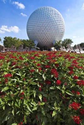 2011_fla_d10_054.jpg
