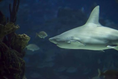 2011_fla_d10_084.jpg