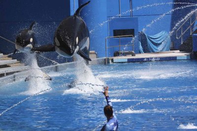 sea_world_2011