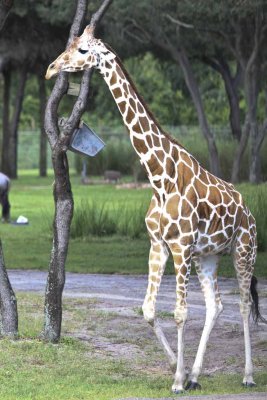 2011_fla_d11_194.jpg