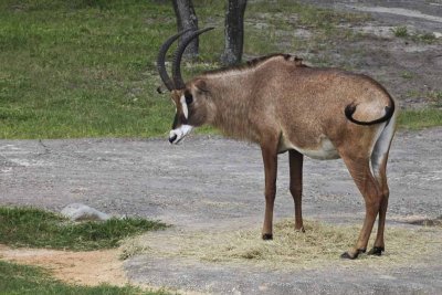 2011_fla_d11_199.jpg