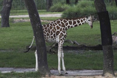2011_fla_d11_204.jpg