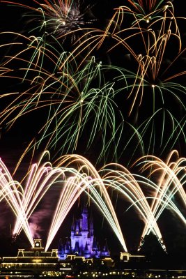 2011_fla_d11_217.jpg