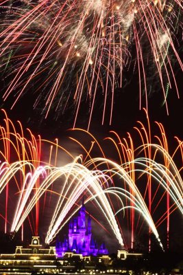 2011_fla_d11_218.jpg