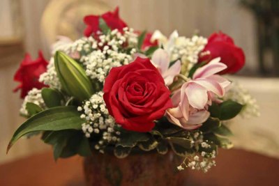 2011_fla_d12_068.jpg