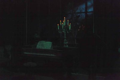 2011_fla_d12_099.jpg