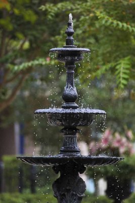 2011_fla_d12_016.jpg
