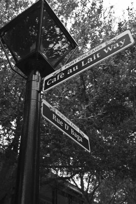 2011_fla_d12_035.jpg