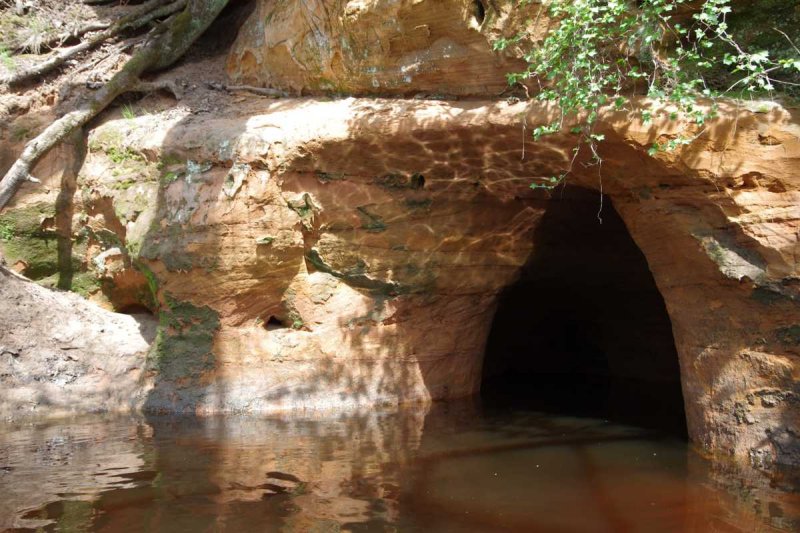 Salaca