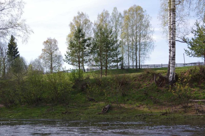 Salaca