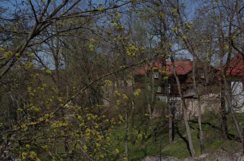 Cesis
