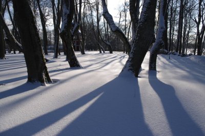 Nature of Latvia 2011
