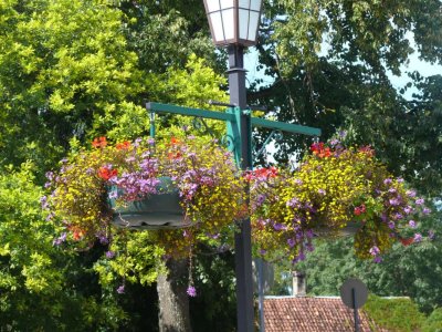 Cesis