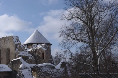 Cesis