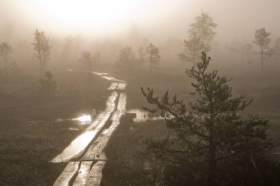 Kemeri National Park